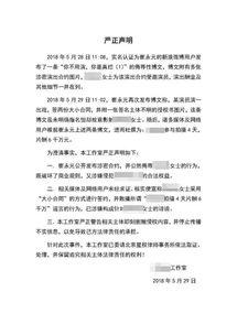 明星的合同,揭秘明星收入与权益背后的秘密