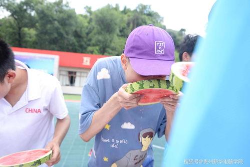 萌叔吃瓜大赛,一场欢乐的美食盛宴