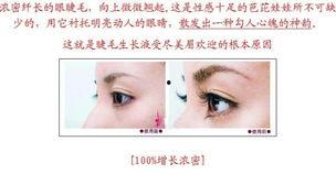 液毛最多的明星,揭秘液毛最多的明星