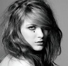 埃文贝尔明星,闪耀星河中的璀璨星辰