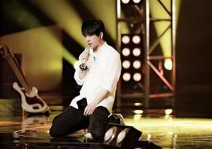 北京明星跨界,北京明星们的跨界奇遇记