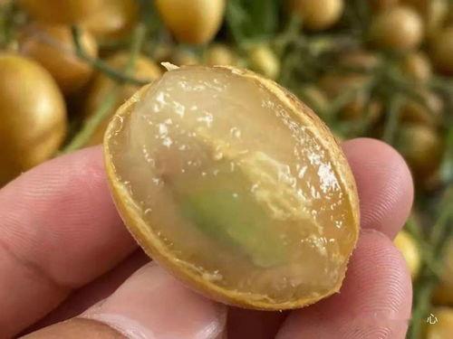 网红小众水果名字,揭秘那些鲜为人知的甜蜜诱惑