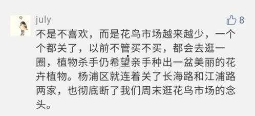 那些渐渐消失的网红英文,Vanishing Vloggers: The Disappearing World of Internet Celebrities