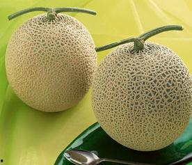 吃哈密瓜涩舌头