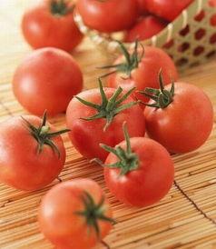 邯郸西红柿今日头条新闻,助力乡村振兴新篇章